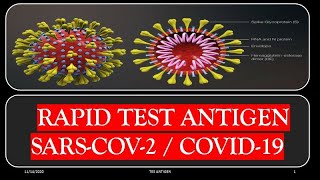 ANTIGEN DAN PCR TEST [upl. by Thilde]