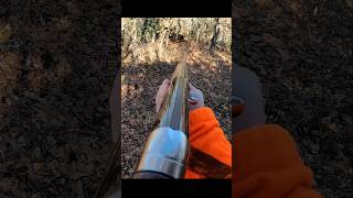 великолепный кадр кабана hunting chasse wildboar охота [upl. by Fayina]