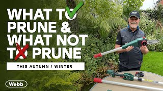 The Ultimate AutumnWinter Pruning Guide  Gardening Advice from Adam Woolcott [upl. by Nelrah]