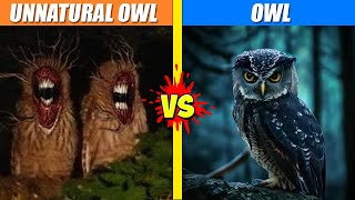 Unnatural Owl vs Owl  SPORE [upl. by Basilius]