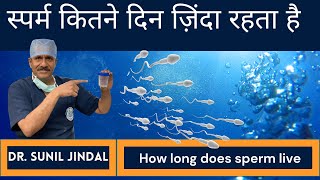 How long does sperm liveस्पर्म कितने दिन ज़िंदा रहता है Dr Sunil Jindal Jindal Hospital Meerut [upl. by Nylekcaj]