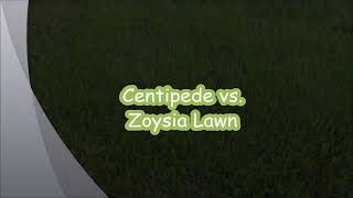 Centipede Lawn vs Zoysia Lawn [upl. by Llenwahs]