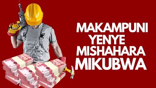 MAKAMPUNI YENYE MISHAHARA MIKUBWA TANZANIA [upl. by Lot]