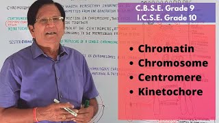 Chromatin Chromosome Centromere amp Kinetochore  Grade 9 amp 10 Biology [upl. by Nemajneb195]