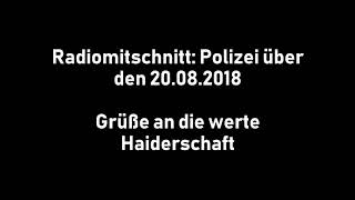 SCHANZENFEST  Interview mit der Polizei [upl. by Vaden139]