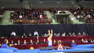 Steven Gluckstein  Compulsory Routine  2013 World TampT Championships  Qualification [upl. by Harbour450]