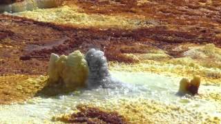 Dallol Danakil Afar Ethiopia active salt field [upl. by Joella94]