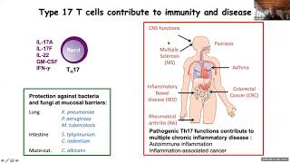 Homeostatic amp pathogenic cell interactions at the gut microbiotamucosa interface by Dr Dan Littman [upl. by Luci549]