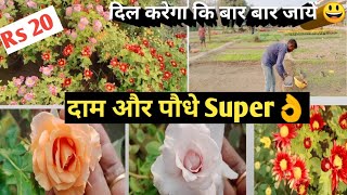 Delhi की सबसे बेहतरीन और सस्ते पौधे की Nursery Rare Plants collections [upl. by Aynnat]