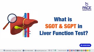 SGOT amp SGPT  What is SGOT amp SGPT in Liver Function Test  liverfunctiontests [upl. by Berg]