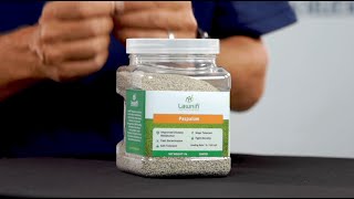 The Best Paspalum Grass Seed [upl. by Helge]