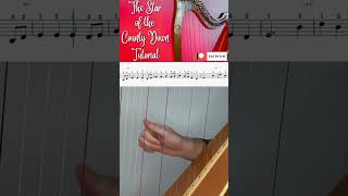 The Star of the County Down Tutorial🎶 harp tutorial thestarofthecountydown music [upl. by Akirdnwahs125]