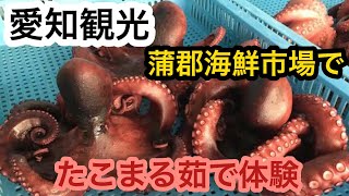 愛知県観光蒲郡海鮮市場でたこまる茹で体験 [upl. by Werda]