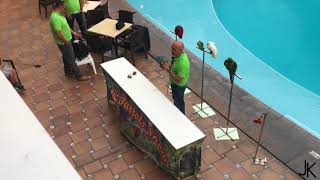 Funny PARROT SHOW in Teneriffe Vigilia Park [upl. by Yellah]