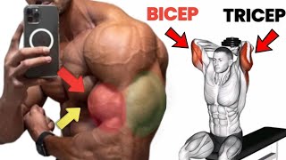 Best Bicep And Tricep Exercises To Build Bicep And Tricep Muscle  Bicep And Tricep Workout [upl. by Aym]