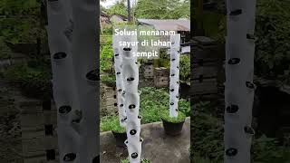 Panen Melimpah di Lahan Sempit Menanam Sayur dengan Metode Vertikultur [upl. by Jordans]