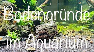 Bodengründe fürs Aquarium aquaristik [upl. by Bohaty]