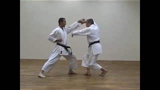 bassai sho bunkai 1 [upl. by Imeon]