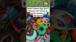 Revolutionize Your Dog’s Style Custom Biothane Gear You Need to See shorts petgear [upl. by Rhine971]