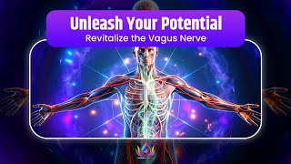 Unleash Your Potential  The Magic of 280 Hertz MANIFEST Your Ideal Body amp Revitalize Vagus Nerve [upl. by Sylera]