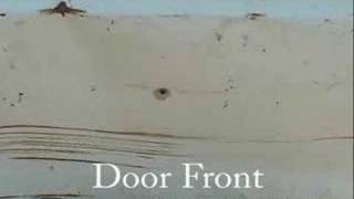 Ruger 22 Pistol vs Car door [upl. by Virgie]