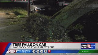 City of Erie sees temporary road closure after tree falls on car Monday evening [upl. by Friend]