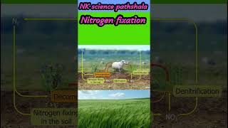 Nitrogen fixation trendingshort viralshots song music [upl. by Thay]