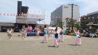 Awa Odori at Tokushima Central Park p2 [upl. by Aaron]