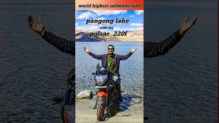 Pangong Lake  ladakh  world highest saltwater lake  220f [upl. by Four526]