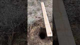 Post Holes for Fence and Deck [upl. by Ahsinac]