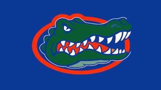 Florida Gators fight song [upl. by Las]