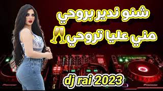 شنو ندير بروحي مني عليا تروحي 🎵🥂💔اغنية واعرة 🛑🔥dj rai 2023 [upl. by Ramraj]