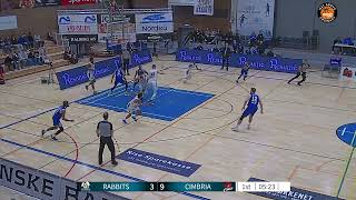 Ty Flowers Full Game 20232024 Denmark  BasketLigaen Svendborg Rabbits vs Randers Cambria [upl. by Trainor]