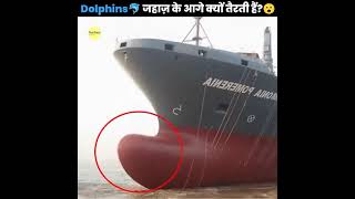 Why Dolphins Swim Infront Of Ships 😨 youtubeshorts facts amazingsfacts shortsvideo amazedfacts [upl. by Okier]