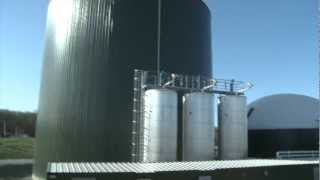 Synergy Biogas Generates Renewable Energy [upl. by Schifra]