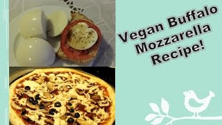 Vegan Buffalo Mozzarella Recipe Plus I melt it [upl. by Anieral]