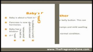 6 Months Pregnant  Week by Week Pregnancy [upl. by Arinay]