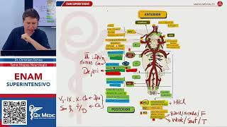 MAPAS MENTALES  ECV [upl. by Ahsiemac]