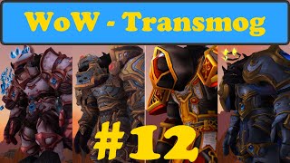 WoW Transmog 12 Tauren Paladin BfA Brown Elite PvP Set mixed [upl. by Garson834]