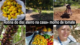 nosso diaIdelson fazendo aterro da casa  molho de tomate caseiro delicioso [upl. by Haroppiz]