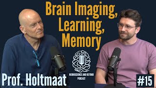 How to study learning and memory in mammals  plasticity and imaging of the living brain [upl. by Aicen]