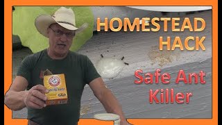 HOMESTEAD HACK  SAFE ANT KILLER [upl. by Razal]