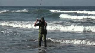 Morro Bay Surfperch Fishing episode I [upl. by Lynna]