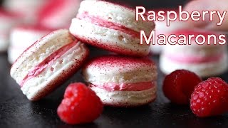 Best French Macarons Recipe  How To Make French Macarons [upl. by Krisha959]