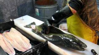 oak orchard salmon cleaning [upl. by Griffy]