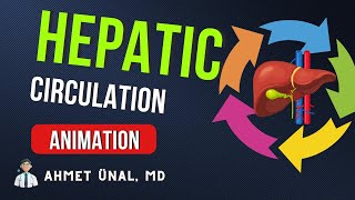 ♻️ HEPATIC BLOOD amp BILE CIRCULATION ANIMATION JUST 1 MINUTE [upl. by Ong]