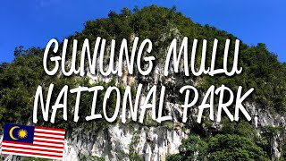 Gunung Mulu National Park  UNESCO World Heritage Site [upl. by Plossl]