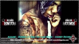 Alkaline  Burning Up Raw Fast Lane Riddim  April 2014 [upl. by Niras]