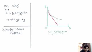 L110  Cobb Douglas Demand Function [upl. by Mingche]