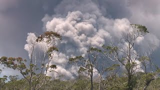 Plume at Halemaumau Crater prompts ashfall warning [upl. by Bethina]